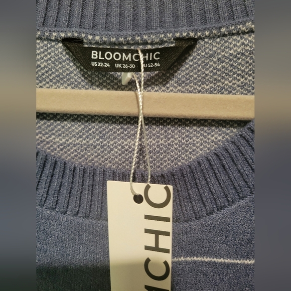 Bloomchic Blue Striped Men's Sweater - Picture 5 of 12